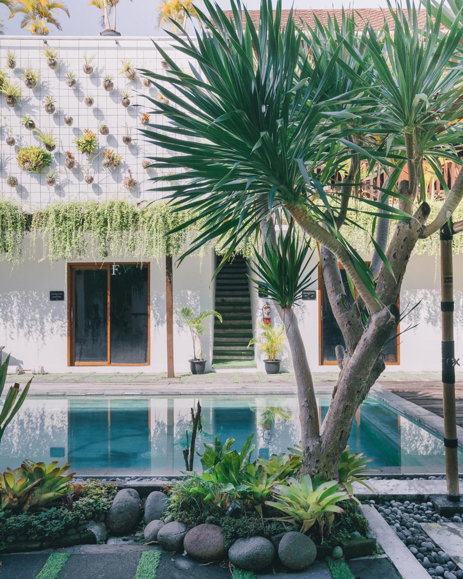 The Farm Hostel Canggu Екстериор снимка